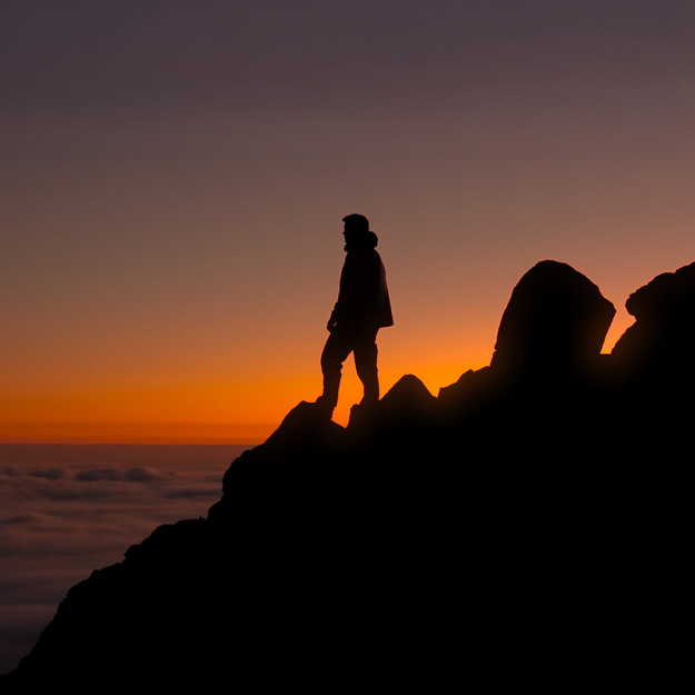 MartinGarrixCATHARINA